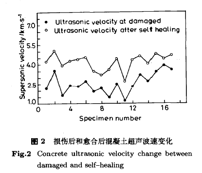 混凝土损伤自愈的机理