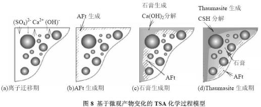 混凝土碳硫硅酸钙型硫酸盐侵蚀的物理化学过程模拟