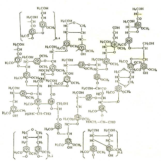 木质素磺酸钙calcium lignosulphonate